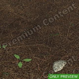 PBR substance preview forest ground 0005